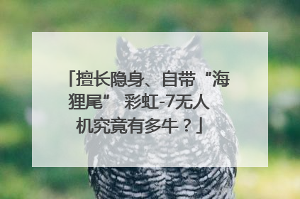 擅长隐身、自带“海狸尾” 彩虹-7无人机究竟有多牛？