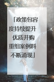 政策包容度持续提升 优质并购重组案例料不断涌现