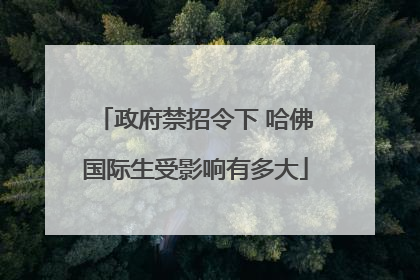 政府禁招令下 哈佛国际生受影响有多大