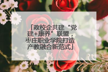 政校企共建“党建+康养”联盟，枣庄职业学院打造产教融合新范式