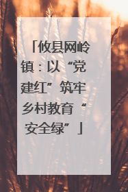 攸县网岭镇：以“党建红”筑牢乡村教育“安全绿”