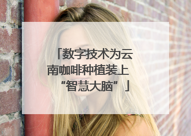 数字技术为云南咖啡种植装上“智慧大脑”
