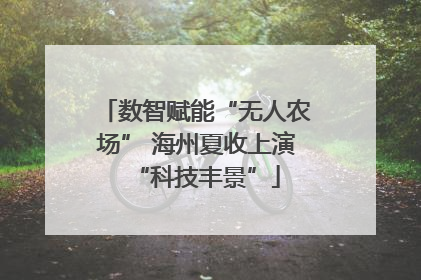 数智赋能“无人农场” 海州夏收上演“科技丰景”