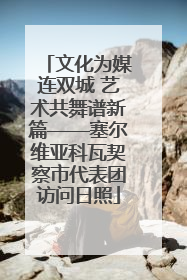 文化为媒连双城 艺术共舞谱新篇——塞尔维亚科瓦契察市代表团访问日照