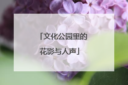 文化公园里的花影与人声