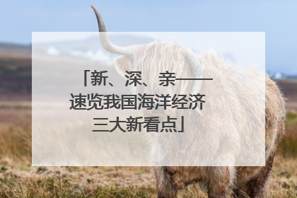 新、深、亲——速览我国海洋经济三大新看点