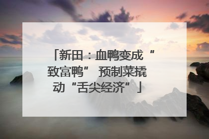 新田：血鸭变成“致富鸭” 预制菜撬动“舌尖经济”
