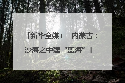 新华全媒+｜内蒙古：沙海之中建“蓝海”