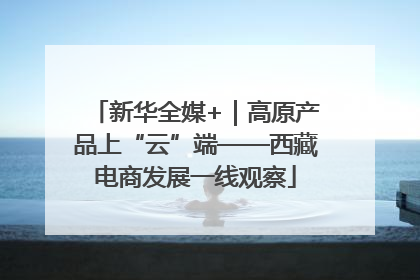 新华全媒+｜高原产品上“云”端——西藏电商发展一线观察