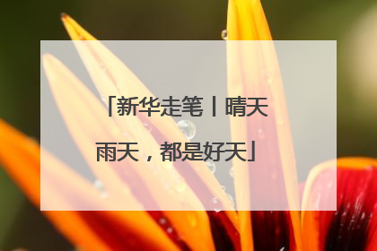 新华走笔丨晴天雨天，都是好天