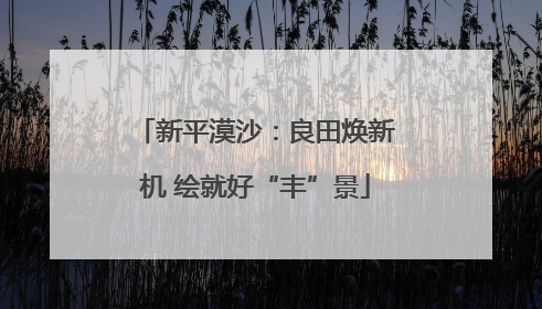 新平漠沙：良田焕新机 绘就好“丰”景