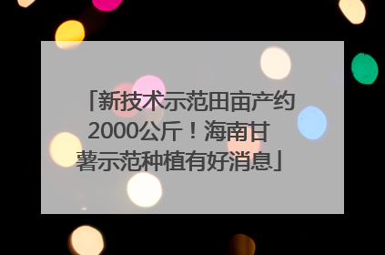 新技术示范田亩产约2000公斤！海南甘薯示范种植有好消息