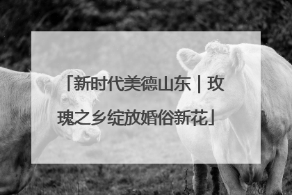 新时代美德山东｜玫瑰之乡绽放婚俗新花