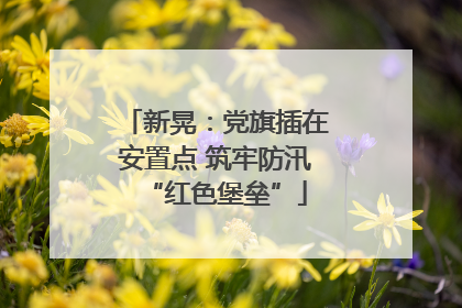 新晃：党旗插在安置点 筑牢防汛“红色堡垒”