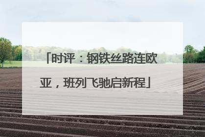 时评：钢铁丝路连欧亚，班列飞驰启新程