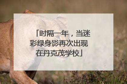时隔一年，当迷彩绿身影再次出现在丹克茂学校