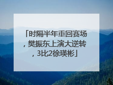 时隔半年重回赛场，樊振东上演大逆转，3比2徐瑛彬