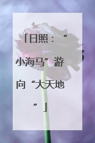 日照：“小海马”游向“大天地”