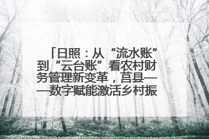 日照：从“流水账”到“云台账”看农村财务管理新变革，莒县——数字赋能激活乡村振兴“一池春水”