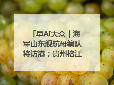 早AI大众｜海军山东舰航母编队将访港；贵州榕江已撤离转移群众超4万人