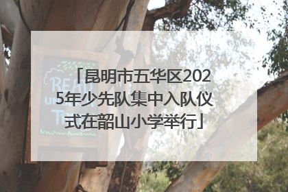 昆明市五华区2025年少先队集中入队仪式在韶山小学举行