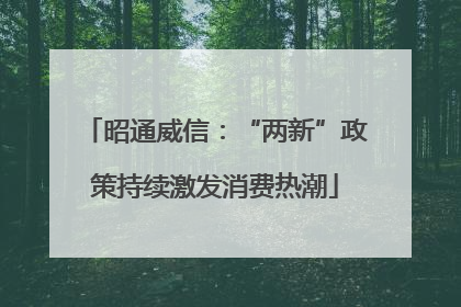 昭通威信：“两新”政策持续激发消费热潮