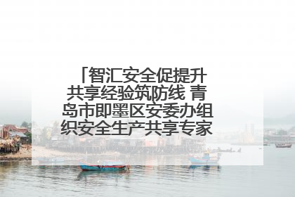 智汇安全促提升 共享经验筑防线 青岛市即墨区安委办组织安全生产共享专家现场观摩学习活动