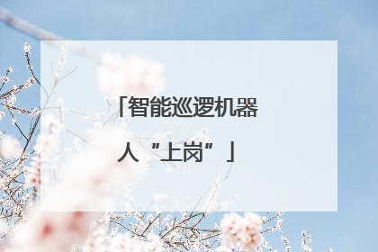 智能巡逻机器人“上岗”