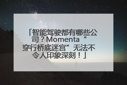 智能驾驶都有哪些公司？Momenta“穿行桥底迷宫”无法不令人印象深刻！