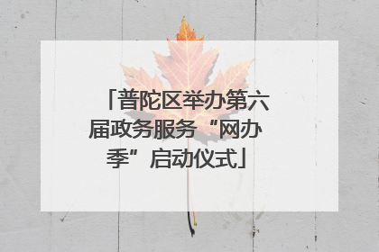 普陀区举办第六届政务服务“网办季”启动仪式