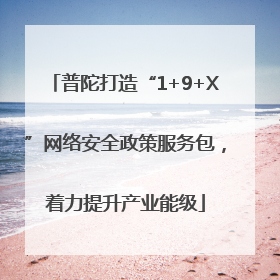 普陀打造“1+9+X”网络安全政策服务包，着力提升产业能级