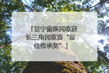 景宁畲族民歌获长三角民歌赛“最佳传承奖”