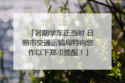 暑期学车正当时 日照市交通运输局特向您作以下郑重提醒！