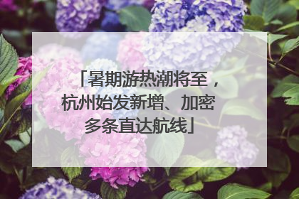 暑期游热潮将至，杭州始发新增、加密多条直达航线