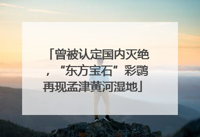 曾被认定国内灭绝，“东方宝石”彩鹮再现孟津黄河湿地