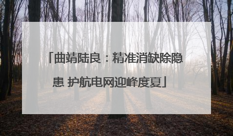 曲靖陆良：精准消缺除隐患 护航电网迎峰度夏