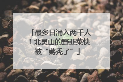 最多日涌入两千人！北灵山的野韭菜快被“薅秃了”