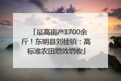 最高亩产1700余斤！东明县刘楼镇：高标准农田增效增收