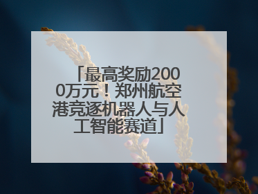 最高奖励2000万元！郑州航空港竞逐机器人与人工智能赛道