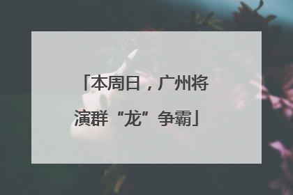 本周日，广州将演群“龙”争霸