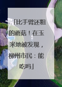 比手臂还粗的蘑菇！在玉米地被发现，柳州市民：能吃吗