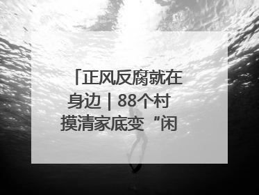 正风反腐就在身边｜88个村摸清家底变“闲”为“宝”