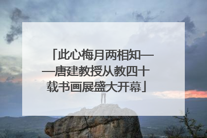 此心梅月两相知——唐建教授从教四十载书画展盛大开幕