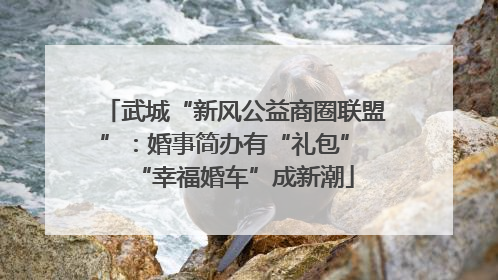 武城“新风公益商圈联盟”：婚事简办有“礼包” “幸福婚车”成新潮
