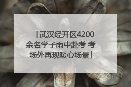 武汉经开区4200余名学子雨中赴考 考场外再现暖心场景