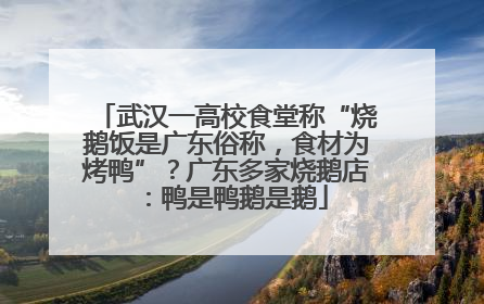 武汉一高校食堂称“烧鹅饭是广东俗称，食材为烤鸭”？广东多家烧鹅店：鸭是鸭鹅是鹅
