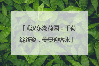 武汉东湖荷园：千荷绽新姿，美景迎客来