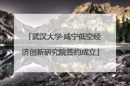 武汉大学·咸宁低空经济创新研究院签约成立