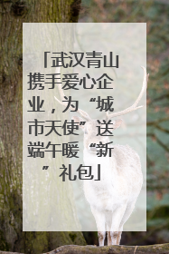 武汉青山携手爱心企业，为“城市天使”送端午暖“新”礼包