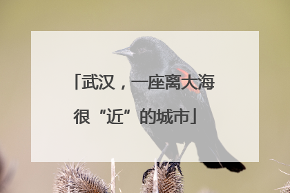武汉，一座离大海很“近”的城市